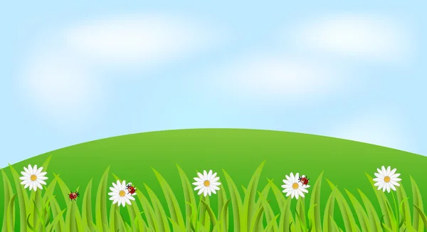 Hintergrund mit den Blüten von Kamille und Marienkäfern — Stockvektor