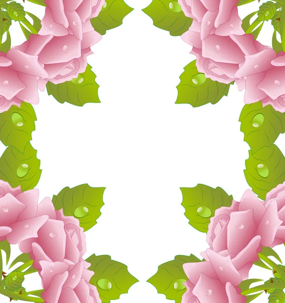 ピンクのバラと白い背景 — ストックベクタ