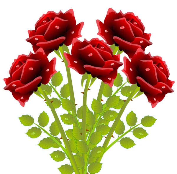 Ramo de rosas rojas sobre un fondo blanco — Vector de stock