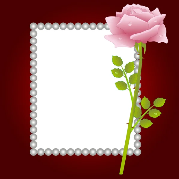 Rosa Rose und Grußkarte — Stockvektor