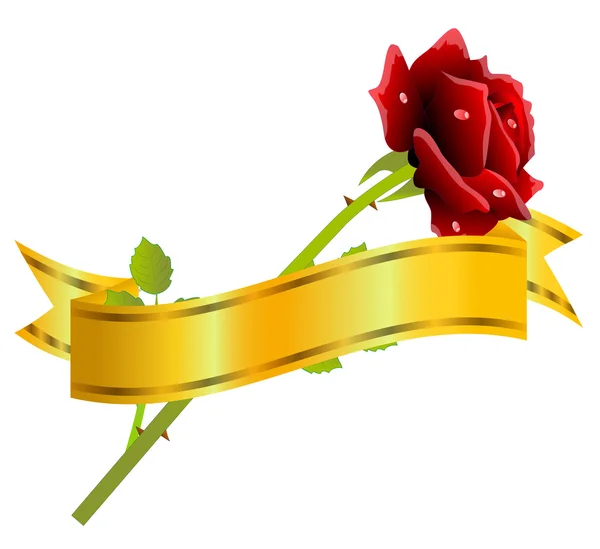 Rosa roja y cinta de oro sobre un fondo blanco — Vector de stock