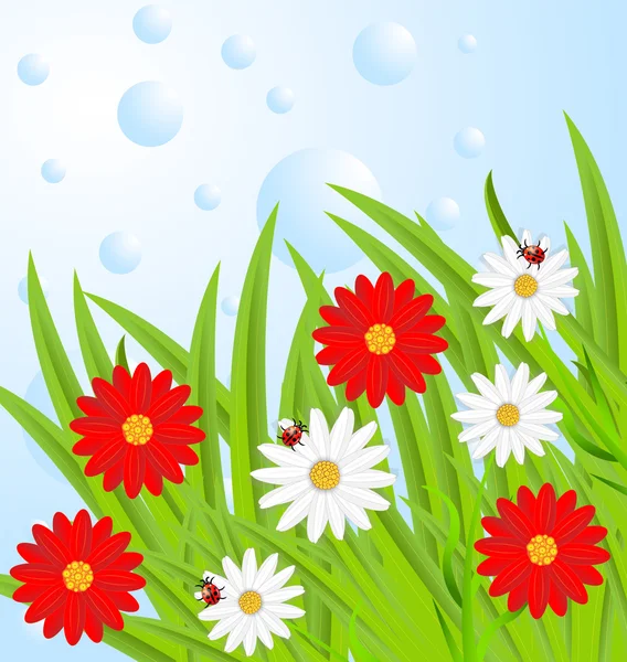 Background  with flowers and ladybirds — Stock Vector