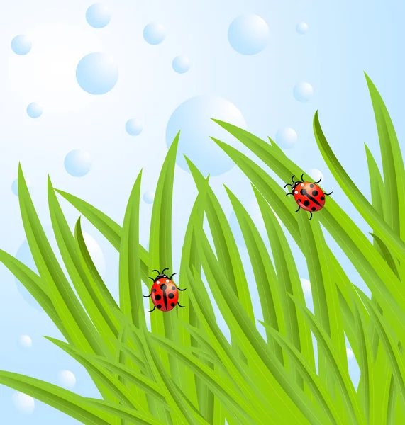 Background  with green leaves and ladybirds — Stock Vector