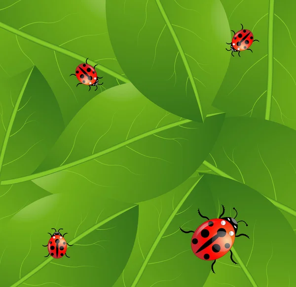 Background  with green leaves and ladybirds — Stock Vector