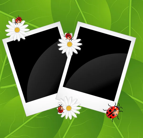 用鲜花和瓢虫的背景 — 图库矢量图片