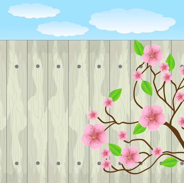 Pink flowers on a background a wooden fence — Stock Vector