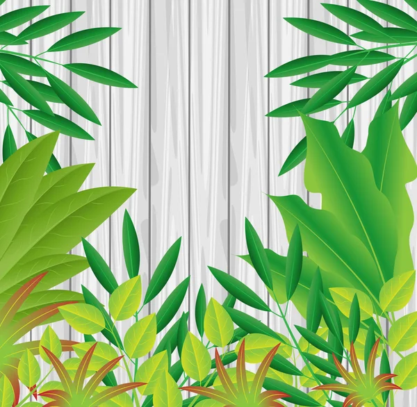 Plantas verdes sobre un fondo textura de madera — Vector de stock