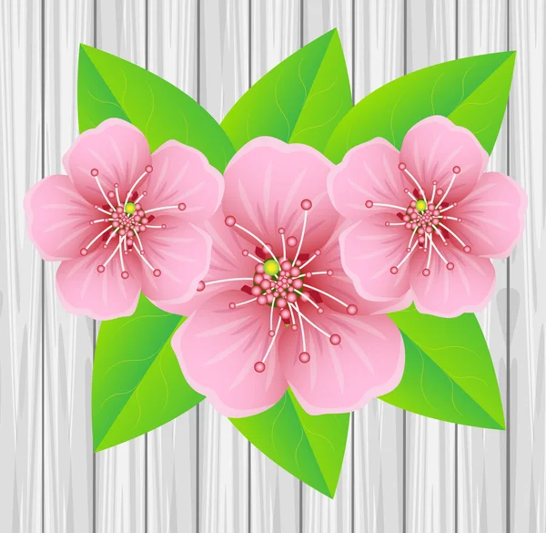 Teneri fiori rosa su uno sfondo struttura in legno — Vettoriale Stock