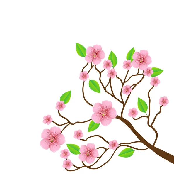 Branch with pink flowers on a white background — Stock Vector