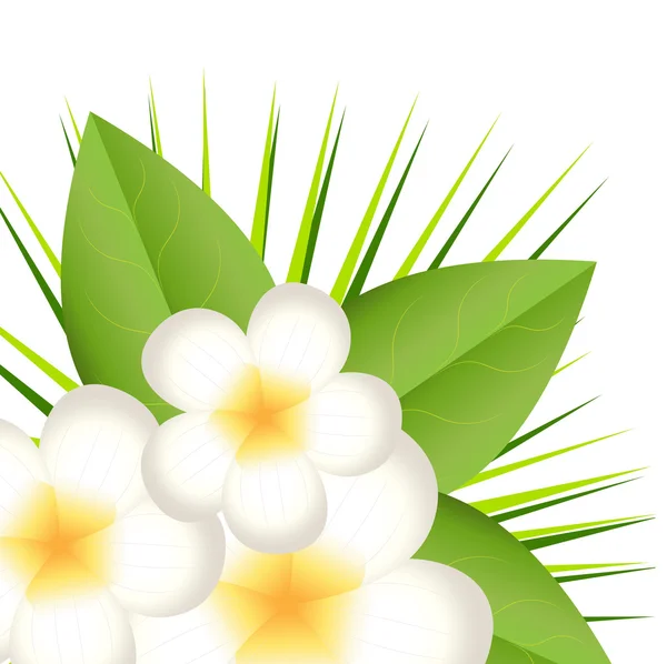 Hintergrund für ein Design mit schönen Blumen — Stockvektor