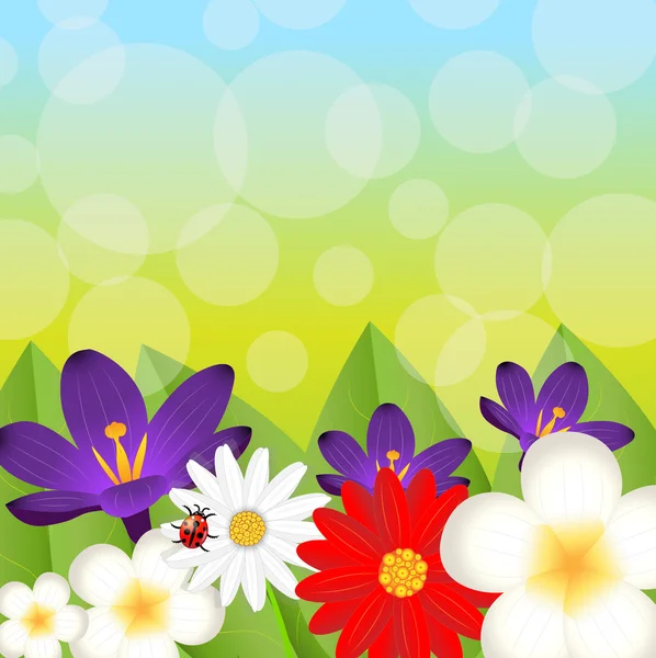 Fond pour un design avec de belles fleurs — Image vectorielle