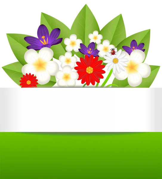 Hintergrund für ein Design mit schönen Blumen — Stockvektor