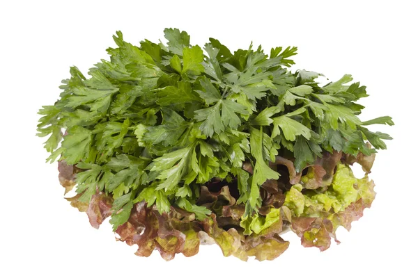 Bunch of greens — Stock Photo, Image