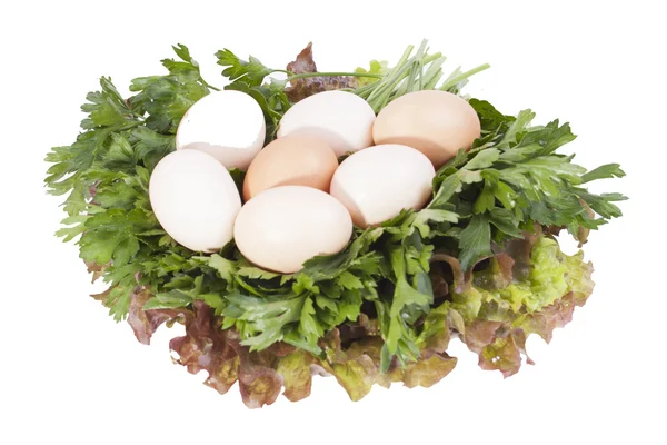 Семь яиц — стоковое фото