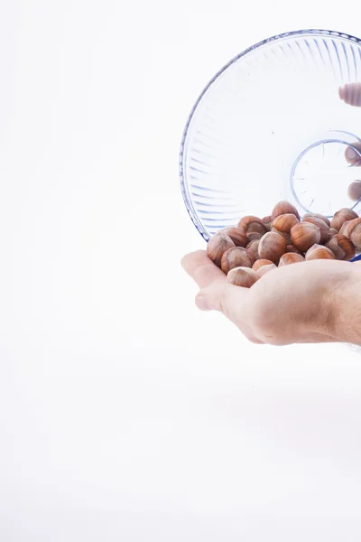 Avellanas en plato — Foto de Stock