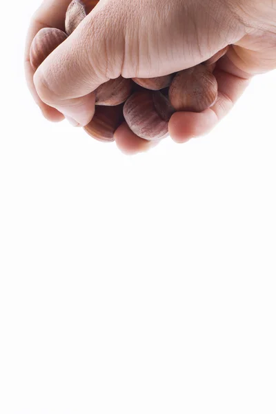 Mãos segurando avelãs — Fotografia de Stock