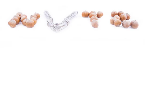 Hazelnuts and nutckracker — Stock Photo, Image