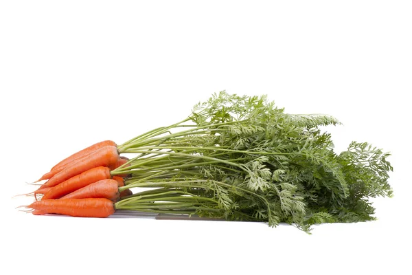 Carrots sekelompok — Stok Foto