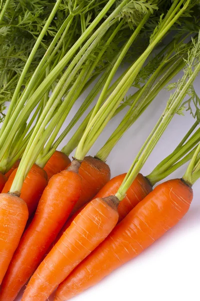 Zanahorias con hojas —  Fotos de Stock