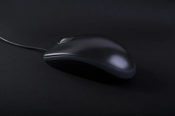 Mysz u czarny — Zdjęcie stockowe
