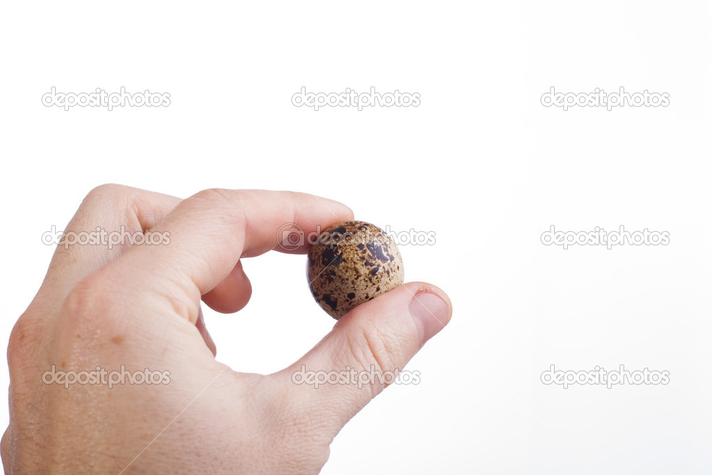 Hand with egg