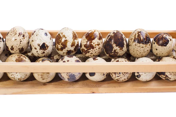 Quail eggs on shelf — Stock Photo, Image