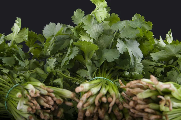 Three bunches of coriander — Stock Photo, Image