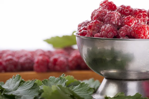Raspberry in cup — Stock Photo, Image