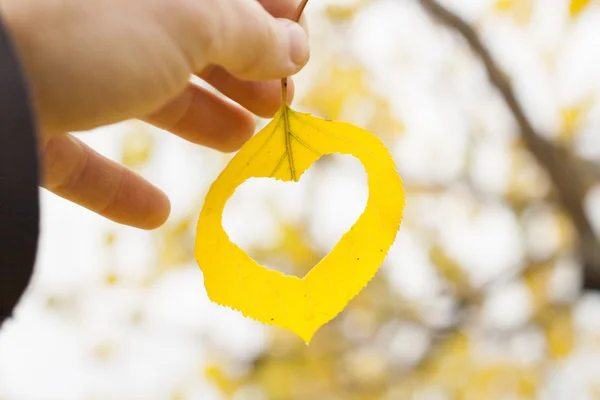 Hand holding yellow leaf — Stock Photo, Image