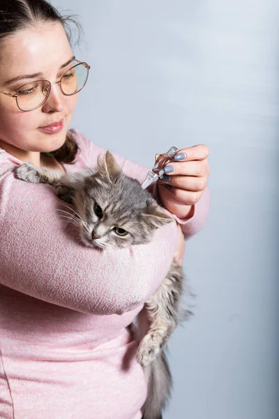 Mulher Jovem Segurando Gato Cinza Tratar Adorável Animal Estimação Pulgas — Fotografia de Stock