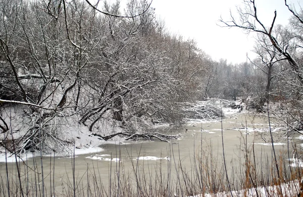 The Winter landscape. — Stock Photo, Image