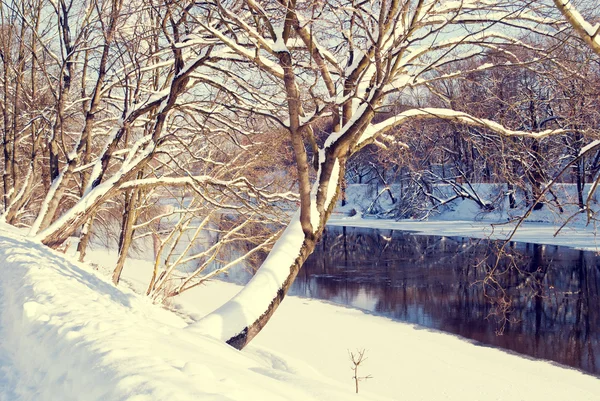 Winter landscape — Stock Photo, Image