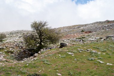  kayalık dağ ataviros