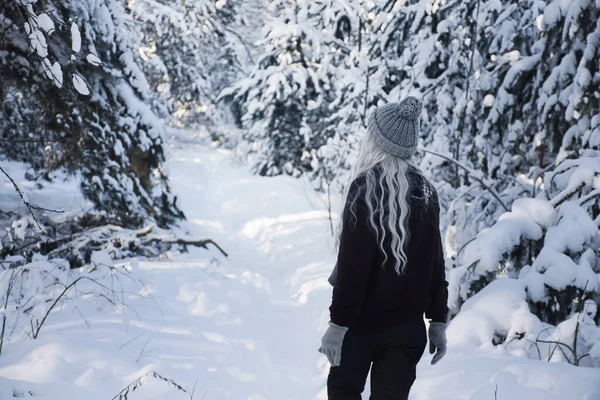 Woman Walks Snowy Forest Obraz Stockowy