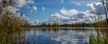 Sıcak ve açık bir günde nehir ve ormanın sonbahar manzarası. Pankart.