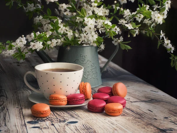 Macarons Met Thee Tafel Ochtend Landelijk Stilleven Met Een Bloeiende — Stockfoto