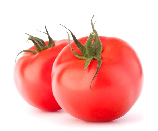 Zwei Tomatengemüse — Stockfoto