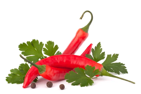 Peperoncino rosso caldo o peperoncino e foglie di prezzemolo natura morta — Foto Stock