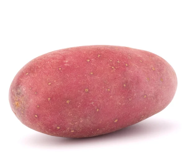 Nya potatis rotsaker — Stockfoto