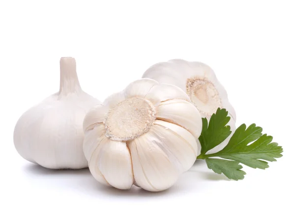 Garlic bulb — Stock Photo, Image