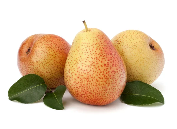 Pear fruits — Stock Photo, Image