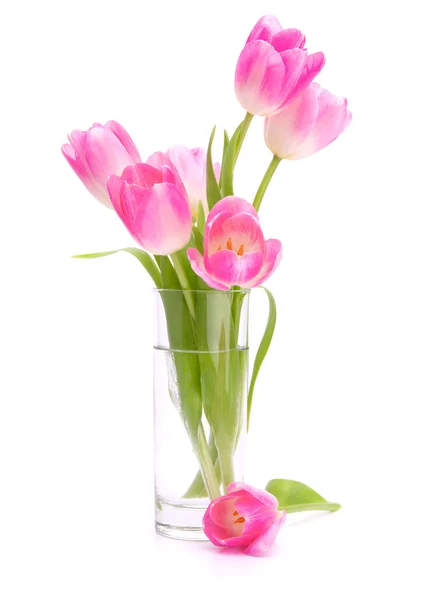 Pink tulips bouquet in vase isolated on white background — Stock Photo, Image