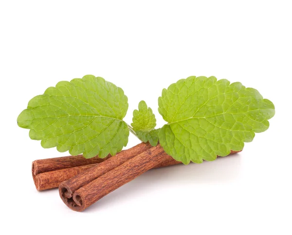 Cinnamon sticks and fresh mint leaf — Stock Photo, Image