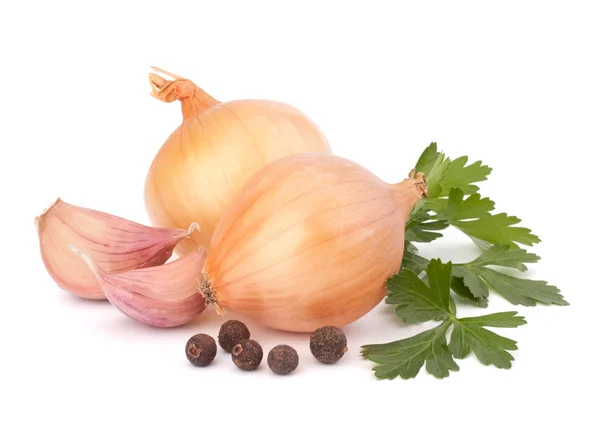 Onion and garlic clove — Stockfoto