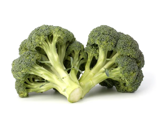 Broccoli vegetabiliska — Stockfoto