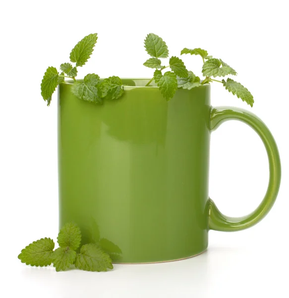 Filiżanka herbaty ziołowe mięty pieprzowej — Zdjęcie stockowe