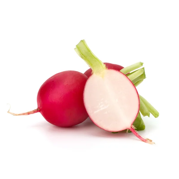 Small garden radish — Stock Photo, Image