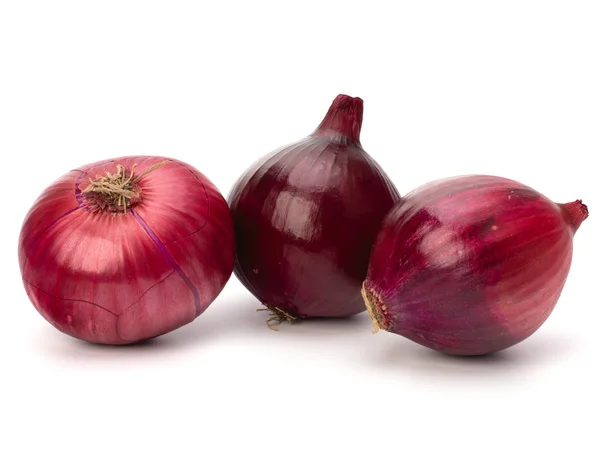 Red onion tuber — Stock Photo, Image