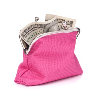 100 dolarlık banknot ile çanta