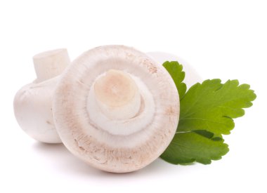 champignon mantar ve maydanoz yaprakları